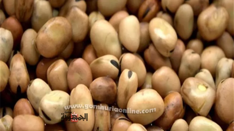 ضبط 3275 كيلو فول مسوس بكرموز