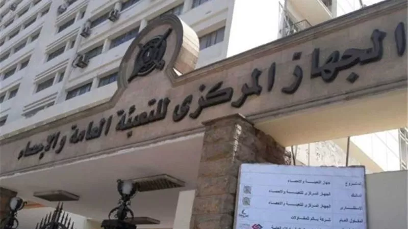 الإحصاء: 120.9% زيادة بصادرات القطن خلال الربع الرابع من 2018 /2019