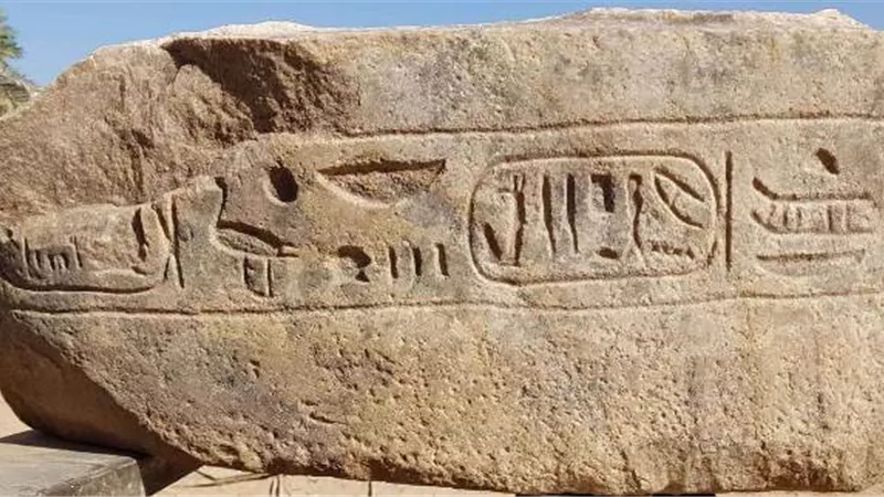 استكمالا لأعمال موسمها الـ ١٣: البعثة الأثرية الألمانية تكتشف تماثيل ملكية وجدار بالمطرية