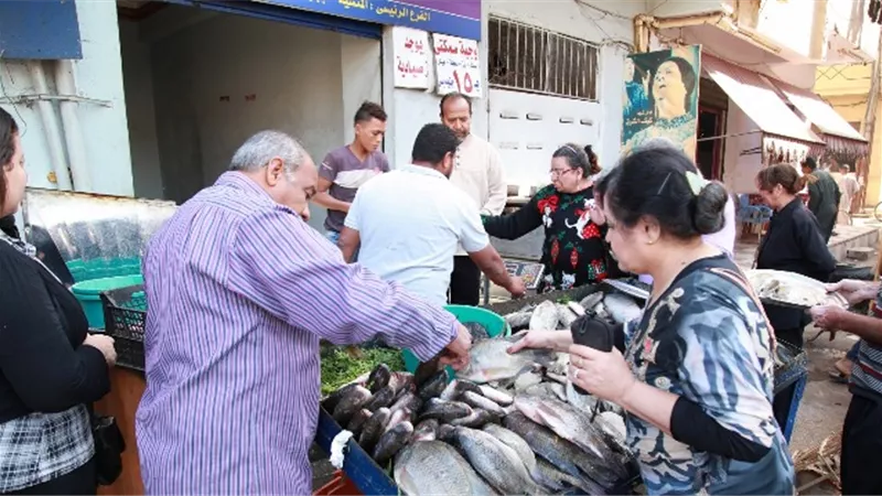 مستقبل وطن يقيم منافذ لبيع الأسماك بأسعار مخفضة بالأقصر