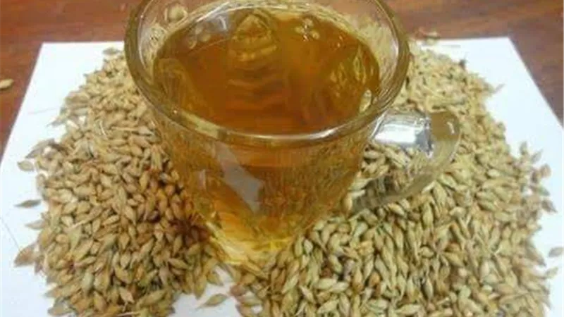 مشروب الشعير.. خلطة سحرية لفقدان الوزن