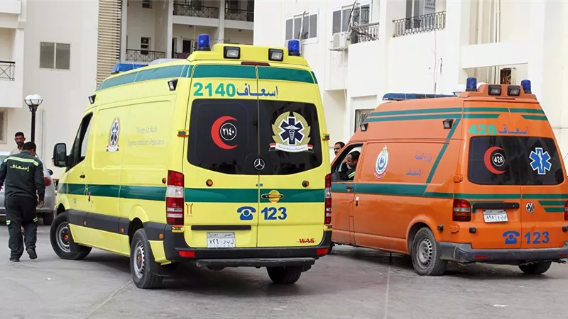 إصابة ٦طالبات بإختناق نتيجة استنشاق دهان بمدرسة بالدقهلية