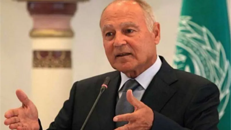 أبو الغيط يؤكد ضرورة التنسيق بين القوات المسلحة العربية