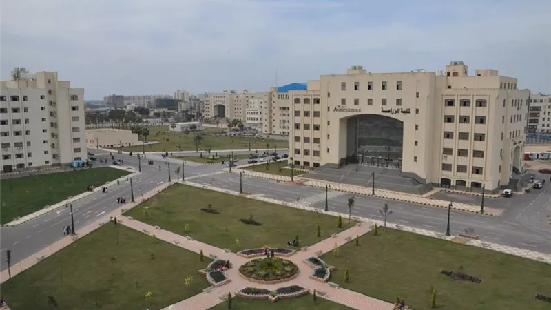 النتائج النهائية لدوري الألعاب الجماعية لكليات جامعة كفر الشيخ