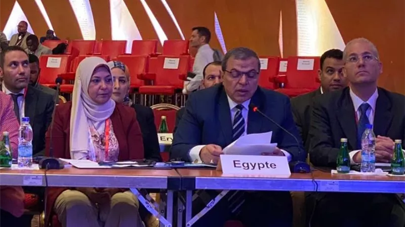 سعفان :مصر تمر بنهضة تنموية كبيرة وحققت نتائج اقتصادية بشهادة المؤسسات المالية العالمية