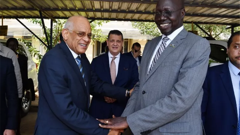د. علي عبد العال يلتقى سيمون ميجوك وزير الطرق والكباري بجنوب السودان