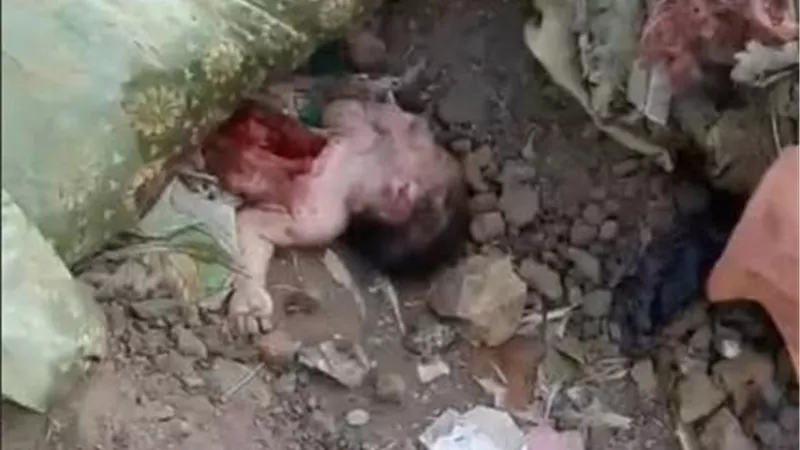 الدقهلية.. العثور على بقايا جثة طفل حديث الولادة نهشتها الكلاب