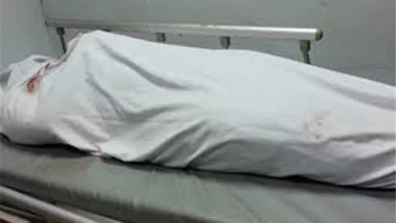 مصرع سيدتين دهستهما سيارة بالطريق الزراعي بطنطا