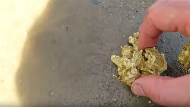 باحث عن الكنوز يعثر على أكبر قطعة ذهبية