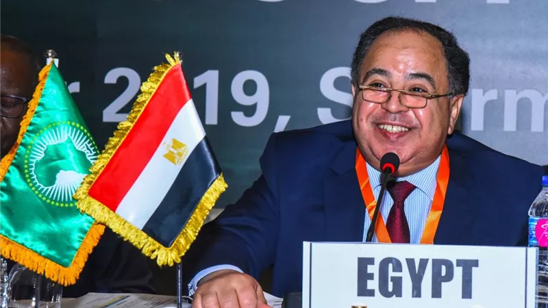 وزير المالية: تحقيق التكامل الاقتصادي القاري لتعظيم القدرات الأفريقية