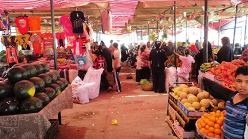 تنفيذ 13 ألفاً و746 مشروعاً للشباب بسوهاج