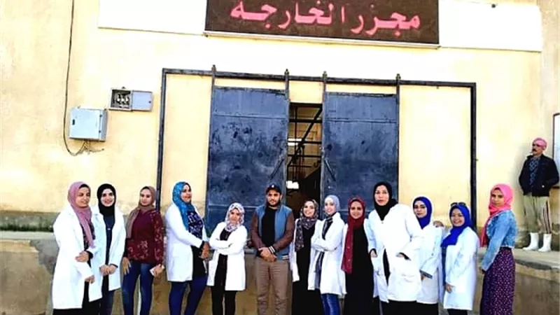 طلاب طب بيطري الوادى الجديد يتدربون عمليا في مجزر الخارجة