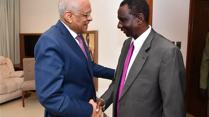 رئيس النواب يبحث التعاون بين مصر وجنوب السودان فى مجال الثروة الحيوانية
