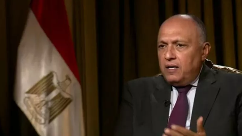 شكري : السياسة المصرية تجاه افريقيا تغيرت منذ تولي الرئيس السيسي الحكم