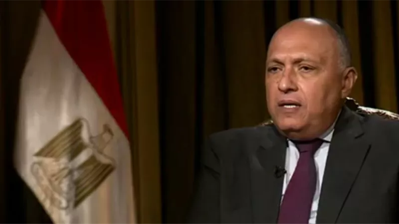 وزير الخارجية : الرئيس السيسي حرص على حضور جميع القمم الافريقية منذ ٢٠١٤ وحتى الان