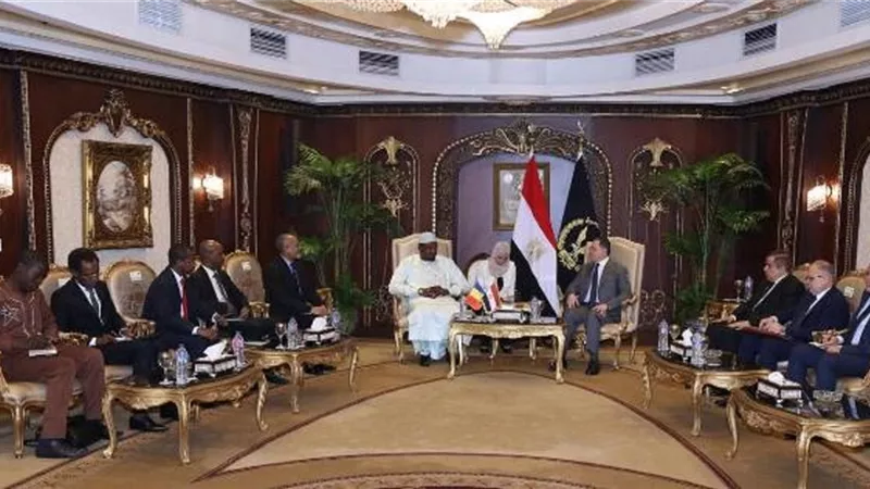 وزير الداخلية يرحب بتطوير مجالات التعاون الأمنى بين مصر وتشاد
