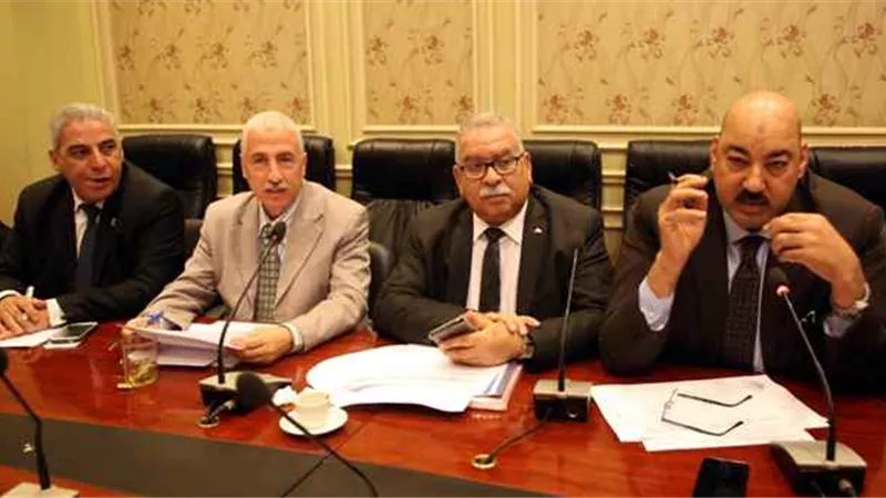 حقوق الإنسان بالبرلمان تناقش تدهور الأوضاع الصحية بالمنوفية