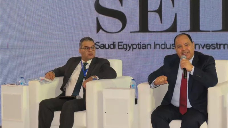 وزير المالية: استكمال الإصلاحات الهيكلية لتعظيم القدرات الإنتاجية والتنافسية