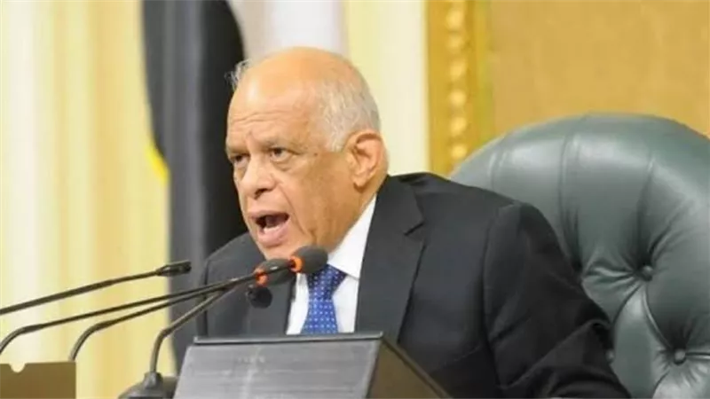 عبدالعال :الوزراء مش عايزين يشتغلوا وسنقوم بدور المجلس والحكومة