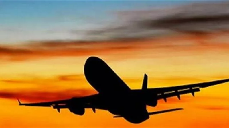 القوات الجوية فى تشيلى تعلن فقدان طائرة على متنها 38 راكبا
