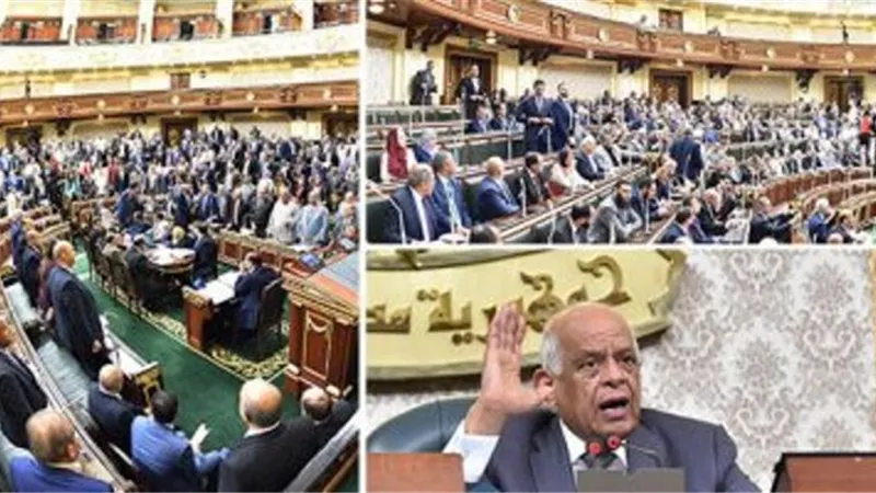 ننشر نص مشروع قانون رعاية المريض النفسى المقدم من الحكومة للبرلمان