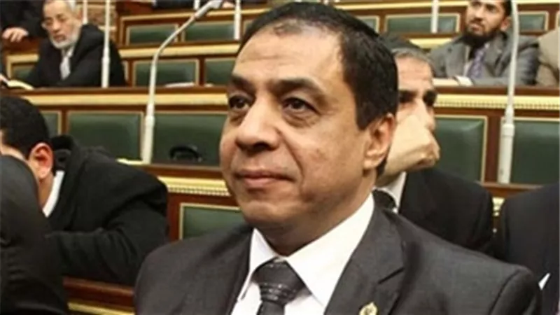 حسني حافظ يطالب بضرورة زيادة الحضانات والعناية المركزة بالإٍسكندرية