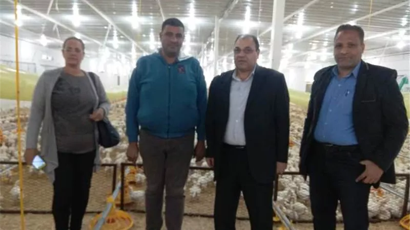 وكيل زراعة السويس يتفقد المزارع شرق القناة.. بالصور