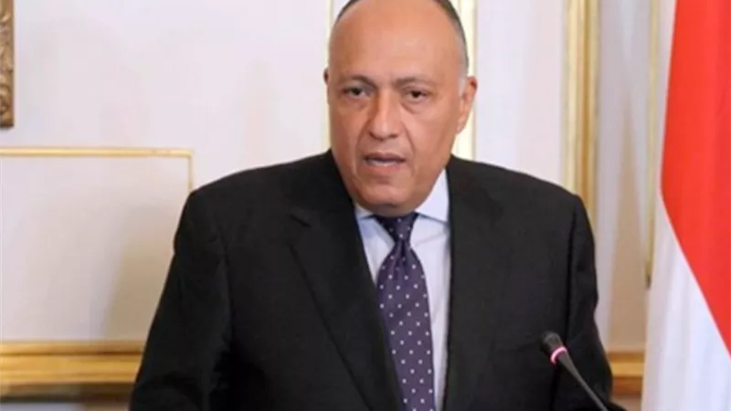 شكري : مناقشة الجهود الأفريقية والدوليةلتثبيت دعائم السلام والاستقرار في قارتنا وتحقيق اهداف مبادرة اسكات البنادق