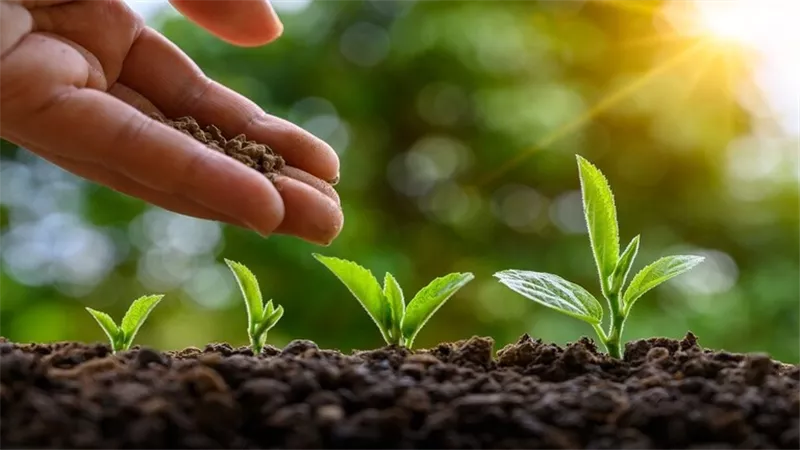 أول منشأة في العالم تحوّل الجثث البشرية إلى سماد فى 2021