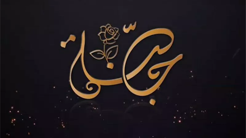 حملة 