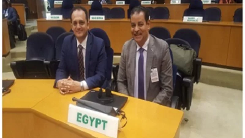 التعليم العالي تتلقى تقريرًا حول الدورة الثالثة لاجتماعات اللجنة الفنية للتعليم بإفريقيا