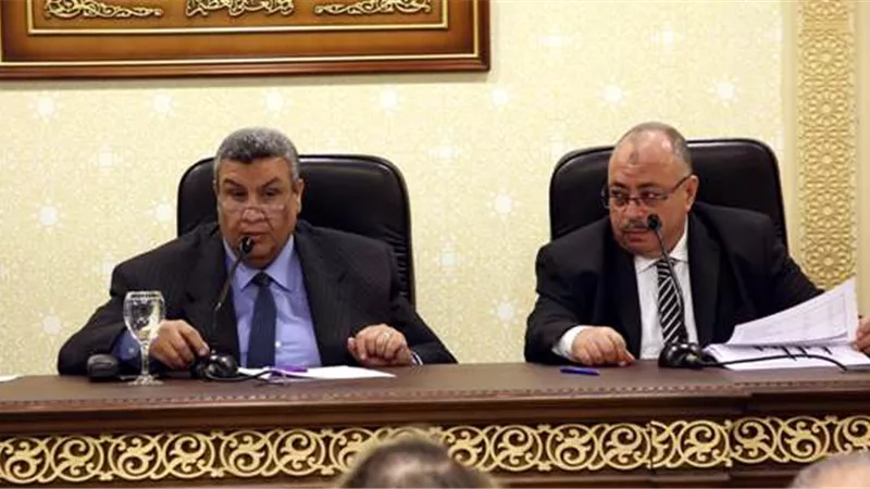 المالية لخطة النواب: جادون فى خفض الدين العام