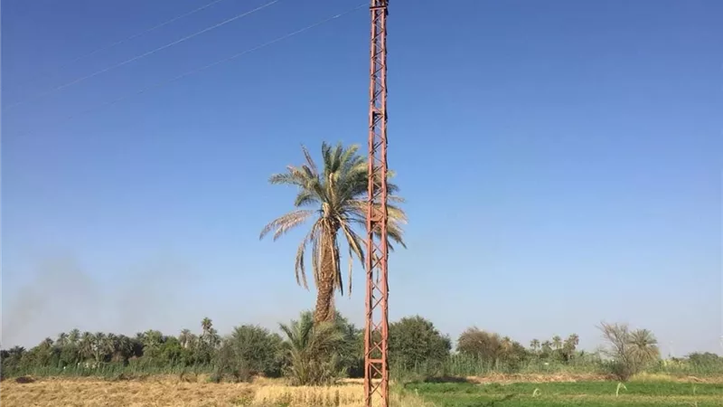 مصرع طالب صعقاً بالكهرباء بسبب ماس من عامود ضغط متوسط والمحافظ يحيل الواقعة للنيابة العامة