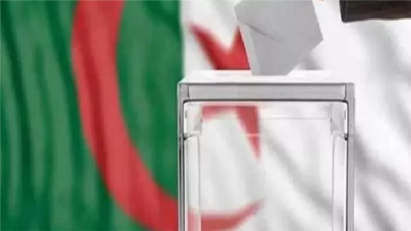 نسبة التصويت في انتخابات الرئاسة الجزائرية 8%