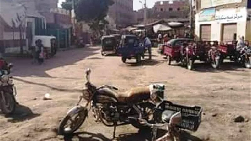 مركز حماية يطالب بحل مشكلات المياه و تهالك الطرق بقنا