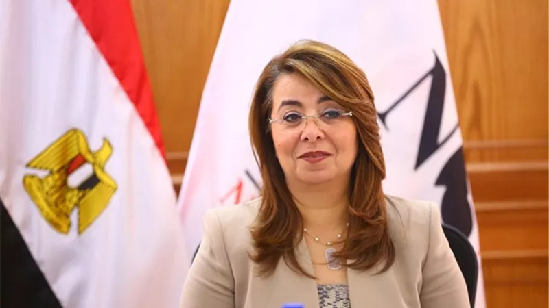وزيرة التضامن تتابع واقعة تعذيب أم لطفلها وتؤكد: الوزارة مستعده لالحاقه بدار رعاية