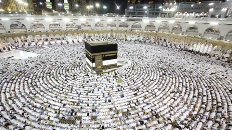 إقبال من المواطنين علي بوابة العمرة للبحث عن الشركات ومتابعة إجراءات سفرهم