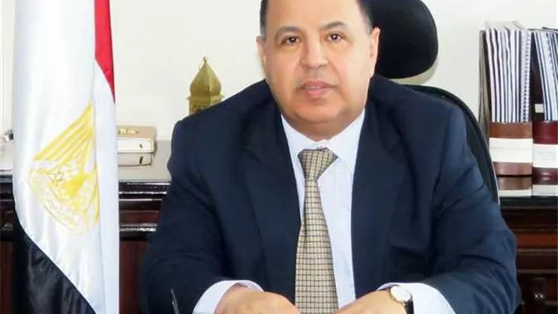 وزير المالية: زيادة دعم الغذاء إلى 87 مليار جنيه في 2019