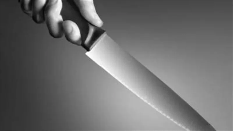 صاحب معرض للموبيليات يقتل شقيقه بـ 19 طعنة لخلافهما على المسكن