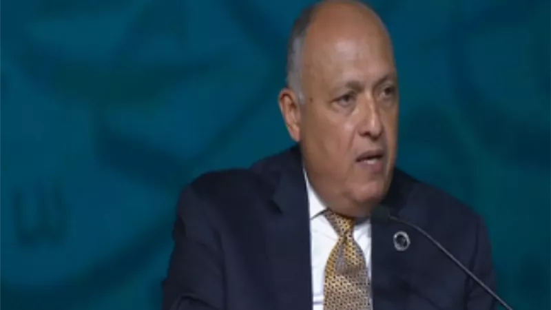 سامح شكري : احداث ٢٠١١ ترتب عليها صراعات في سوريا واليمن وتدخلات خارجية