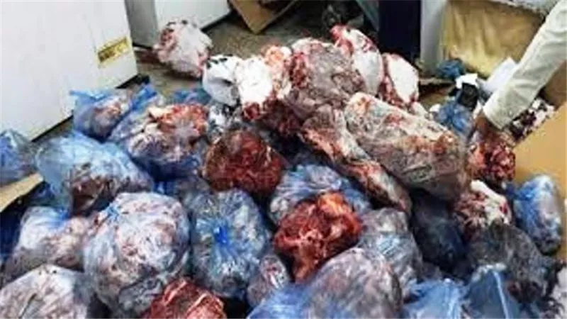 ضبط 3 طن كبده وأسماك غير صالحة للإستهلاك الأدامى بثلاجة بقليوب