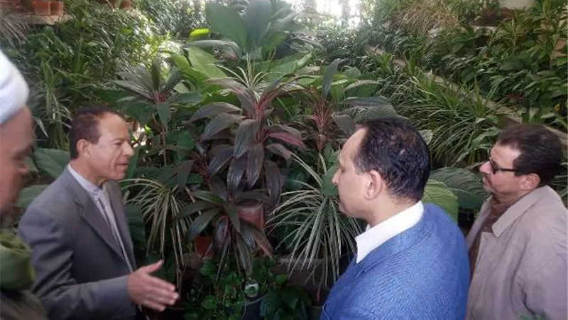 إفتتاح معرض زهور الخريف بالقناطر بحضور رئيس مصلحة الري