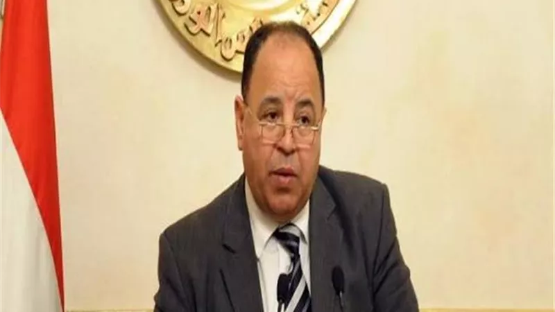 وزير المالية: 1.6 مليار جنيه رسوم وغرامات عن 4 آلاف عملية تهريب خلال سبتمبر