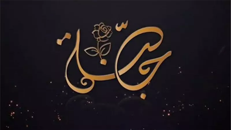 حملة 