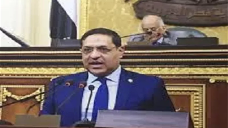القصبى والخضراوى مراقبين دوليين فى الانتخابات البرلمانية الاوزبكية