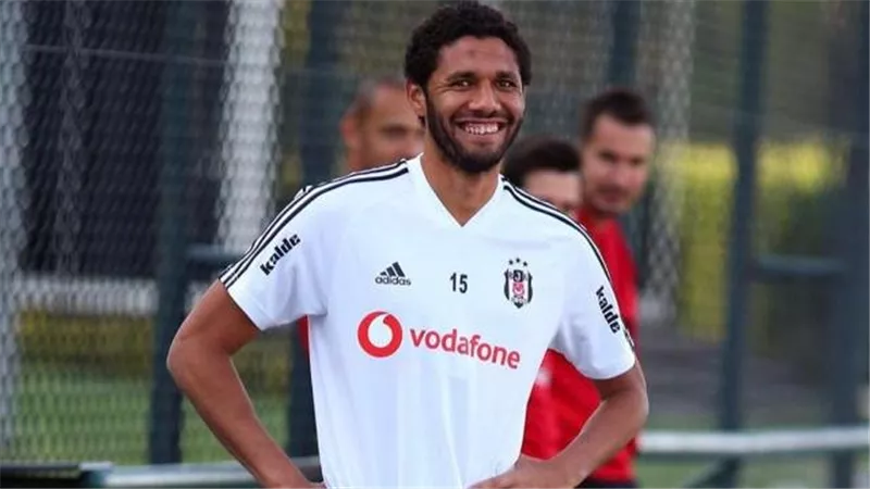 الننى يقترب من الدورى الإيطالى