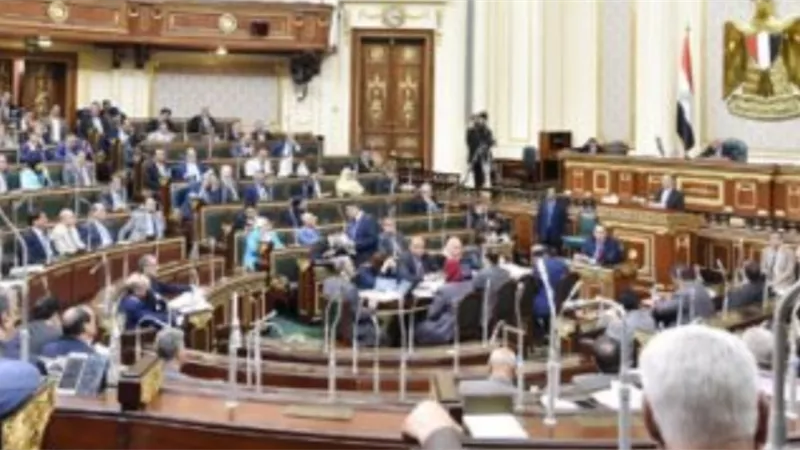 تشريع جديد بالبرلمان يحدد شروط تجديد ترخيص مزاولة مهنة العلاج النفسى