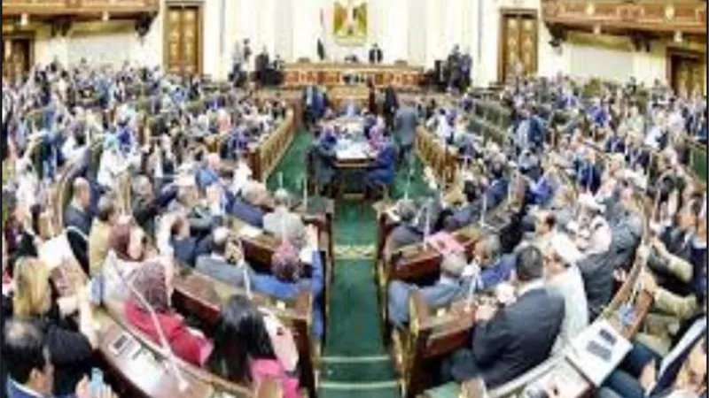 استجواب برلماني لوزير الصناعة والتجارة بشأن إغراق السوق المصري بالمنتجات التركية بدون جمارك