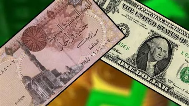 بالإنفوجراف.. الجنيه المصري أقوى العملات أداءً أمام الدولار في الأسواق الناشئة عام 2019