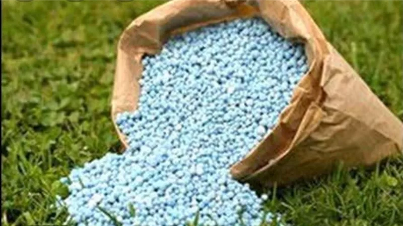 فيديو.. غانم: إغراق الأسواق بأسمدة كبريتات الماغنسيوم يهدد ٣ شركات وطنية بالإفلاس
